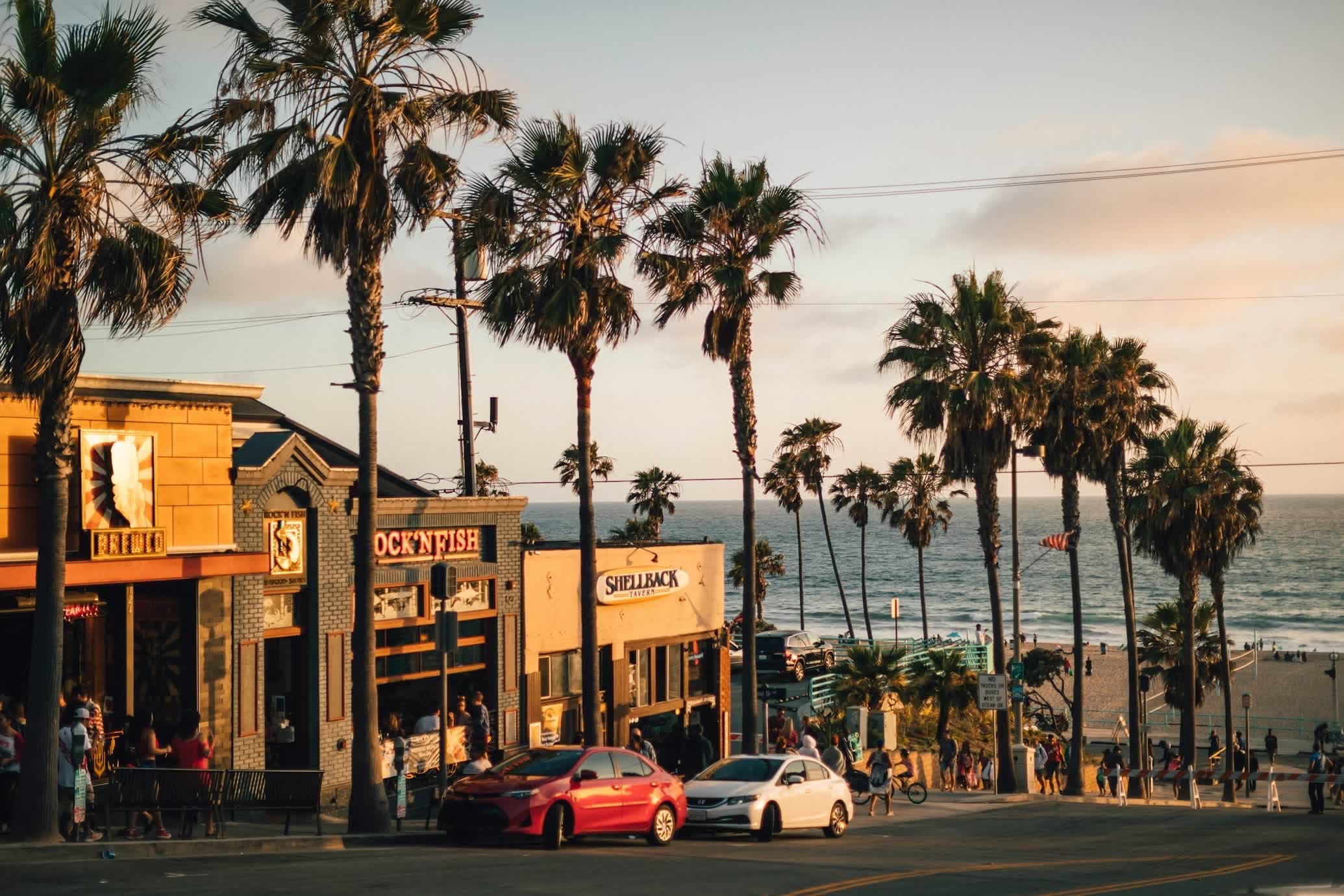 Los Angeles beachside with palm trees